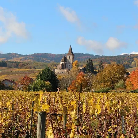 Maison Au Tonnelier Hunawihr